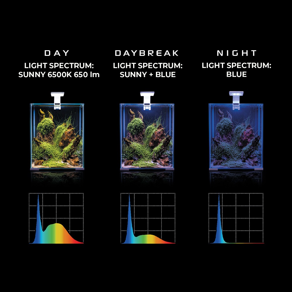 Aquael Leddy Smart Night + Day Schwarz Plant