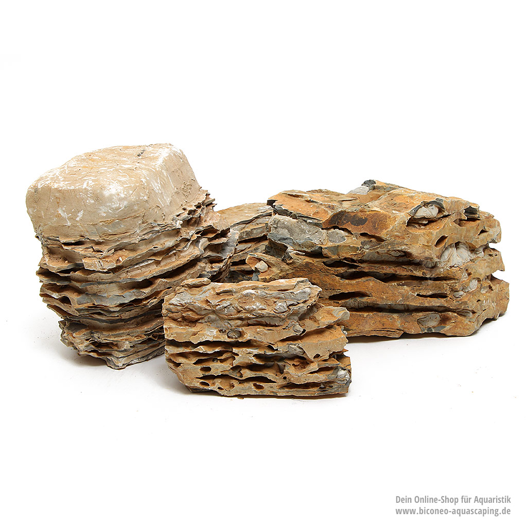 Arizona Rock