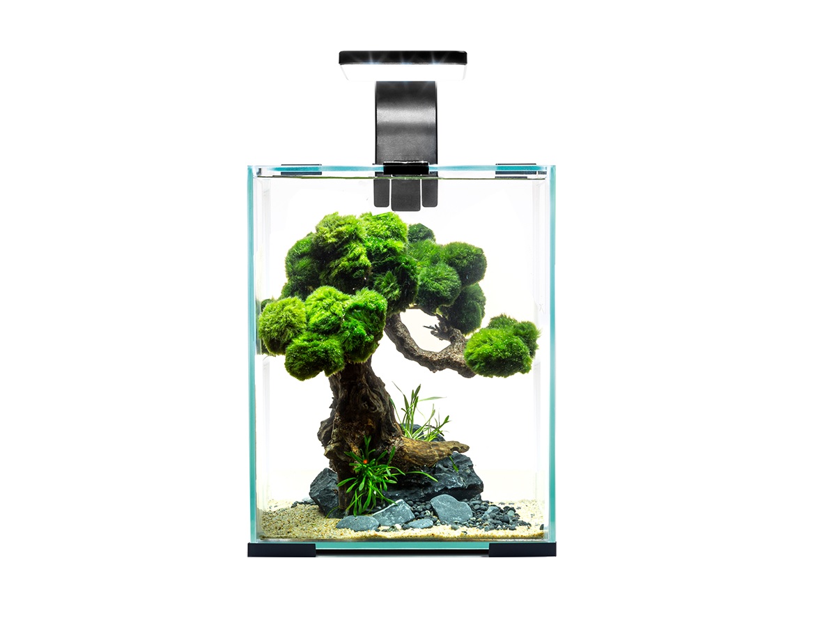 AquaEl Shrimp Set Night+Day 30 Schwarz