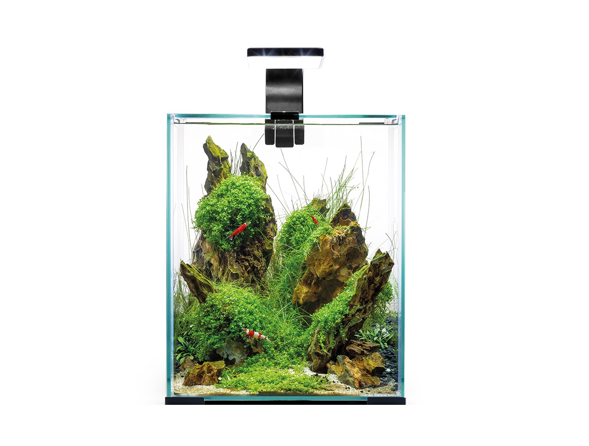 AquaEl Shrimp Set Night+Day 30 Schwarz