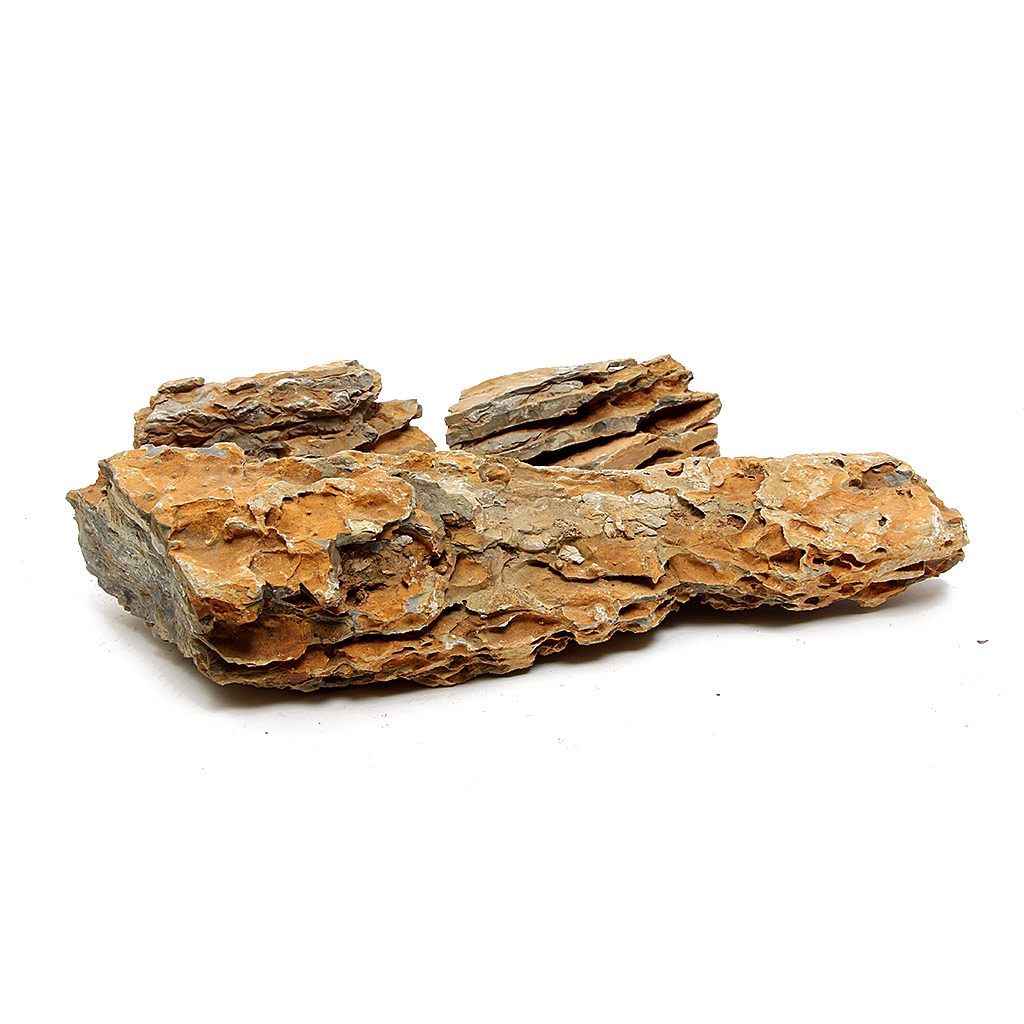 Arizona Rock