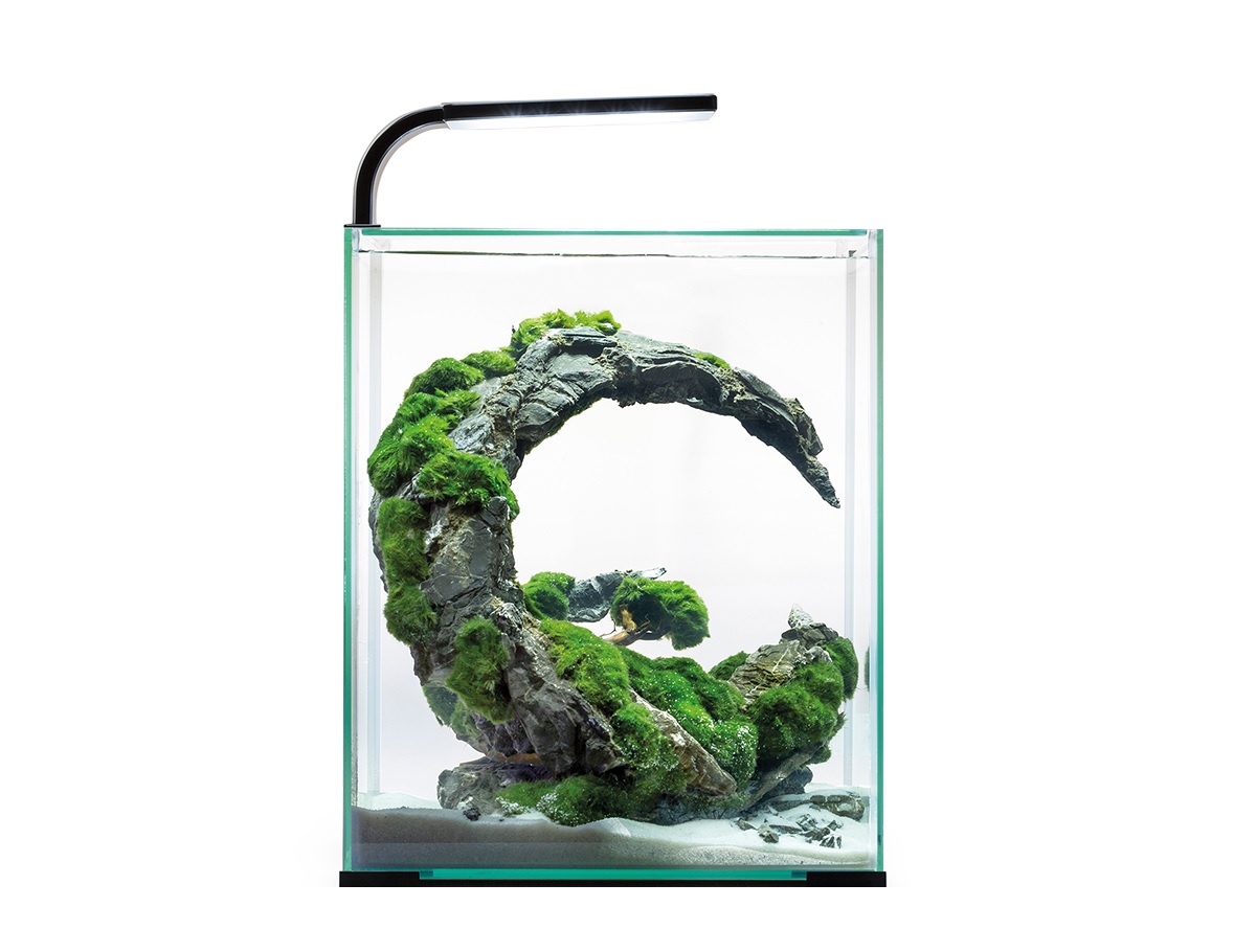 AquaEl Shrimp Set Night+Day 30 Schwarz