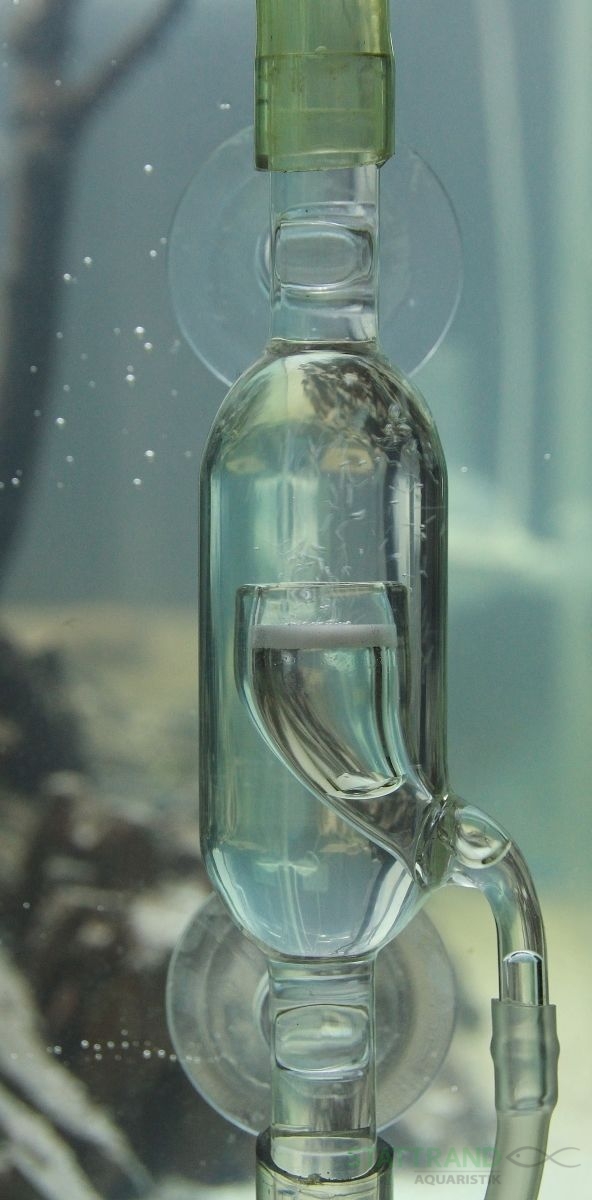 OrinocoGlass CO2 Inline Diffusor aus Glas 12/16mm – CO2 Zufuhr bis
