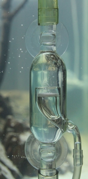 OrinocoGlass CO2 Inline Diffusor aus Glas 12/16mm
