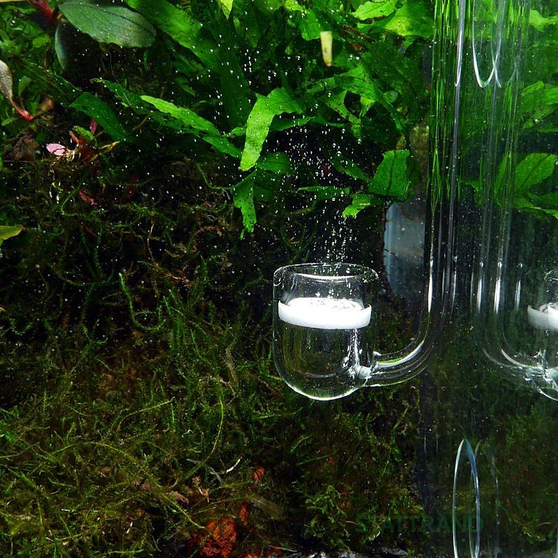 OrinocoGlass HangOn CO2 Diffusor - Optimiere dein Aquarium