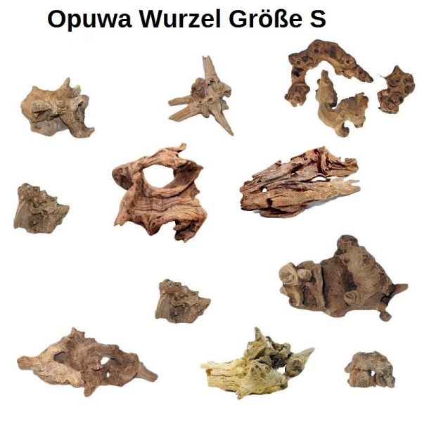 OrinocoDeco Opuwa Wurzel Größe S 10-25 cm