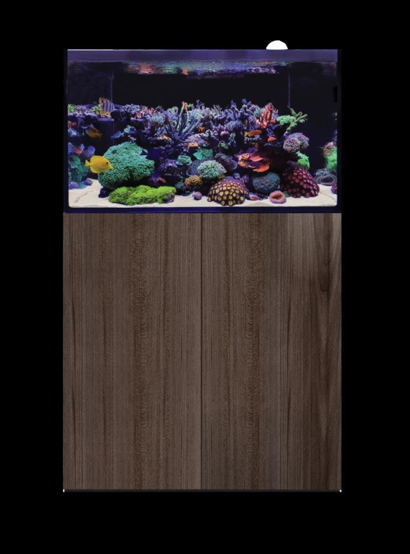 D-D Aqua-Pro Reef 900- JAPANESE PEAR GLOSS