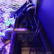 D-D Reef-Pro 1800 CARBON OAK -  Aquariumsystem