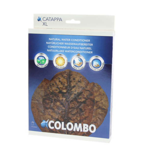 COLOMBO Catappa XL