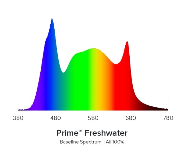 AI Prime 16HD Freshwater schwarz
