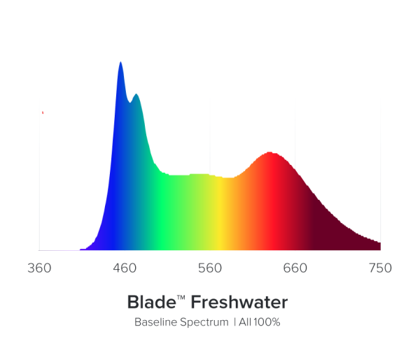 AI Blade Freshwater, verschiedene Größen